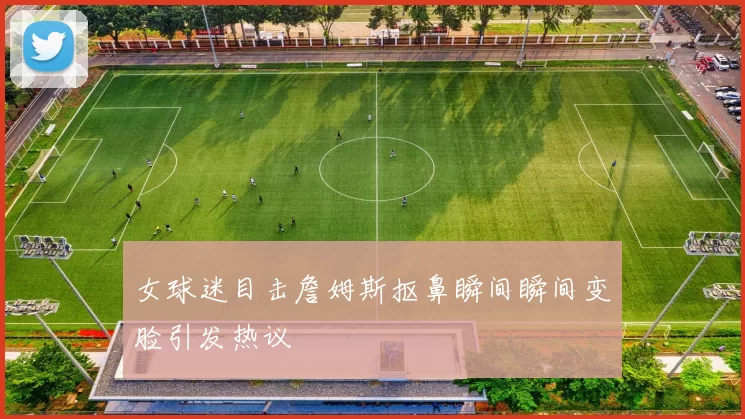 女球迷目击詹姆斯抠鼻瞬间瞬间变脸引发热议